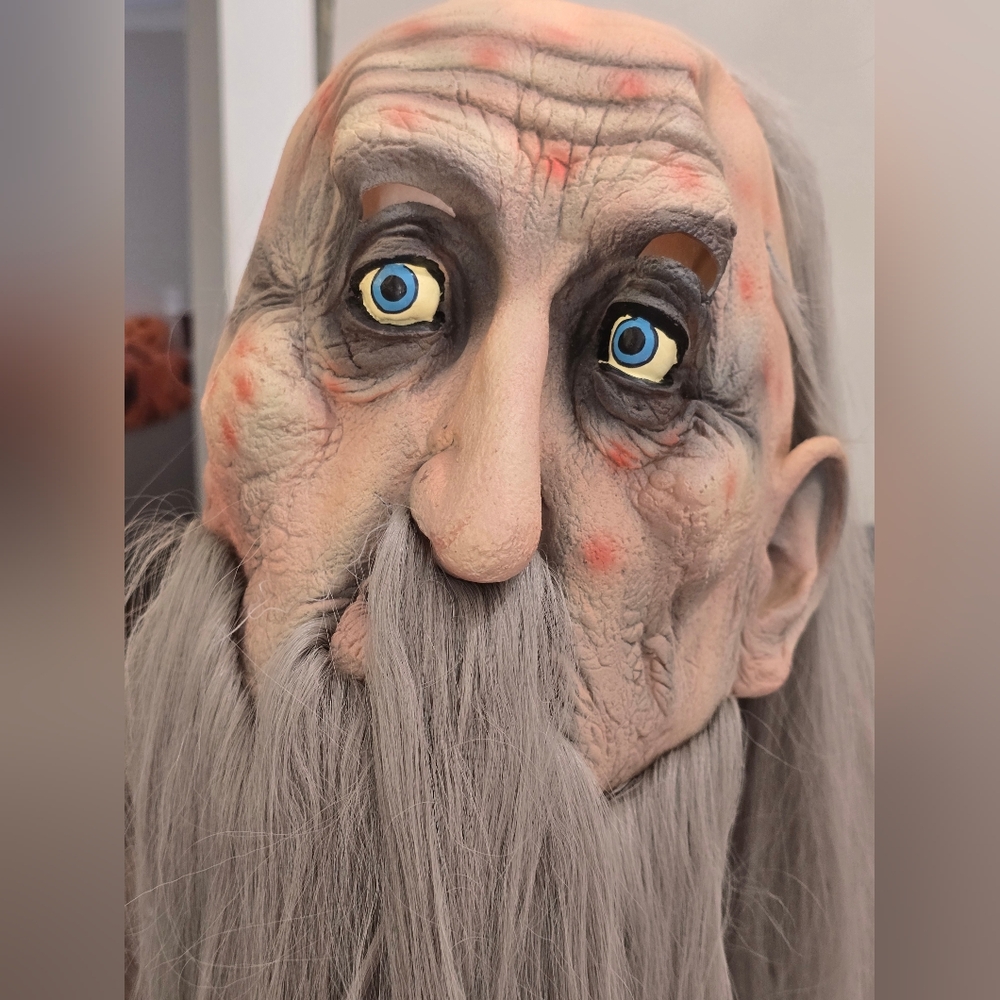 Halloween Mask Old Man Long Gray Hair & Beard 1996 Paper Magic Group